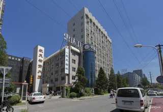 宿迁绿植租赁推荐