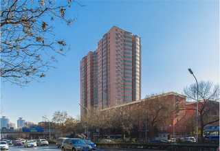 肇庆真空吸盘抛光机设备